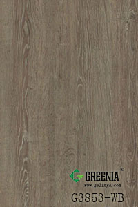 原野橡木 G3853-WB 原野橡木 G3853-WB